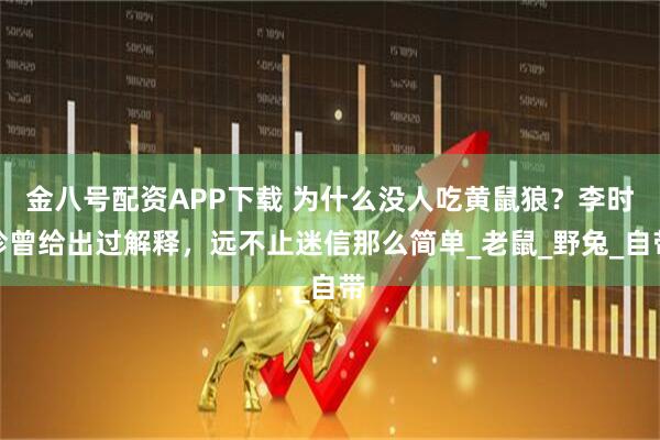 金八号配资APP下载 为什么没人吃黄鼠狼?李时珍曾给出过解释,远不止迷信那么简单_老鼠_野兔_自带