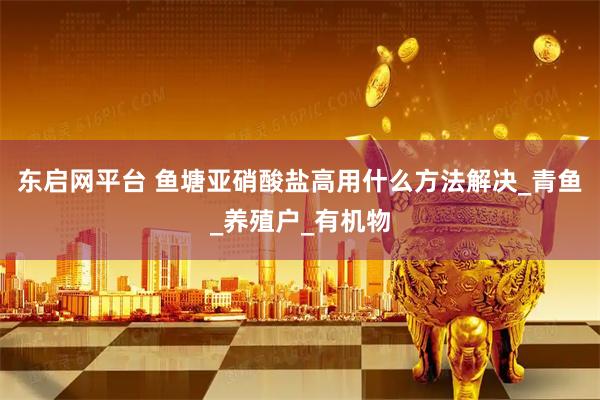东启网平台 鱼塘亚硝酸盐高用什么方法解决_青鱼_养殖户_有机物