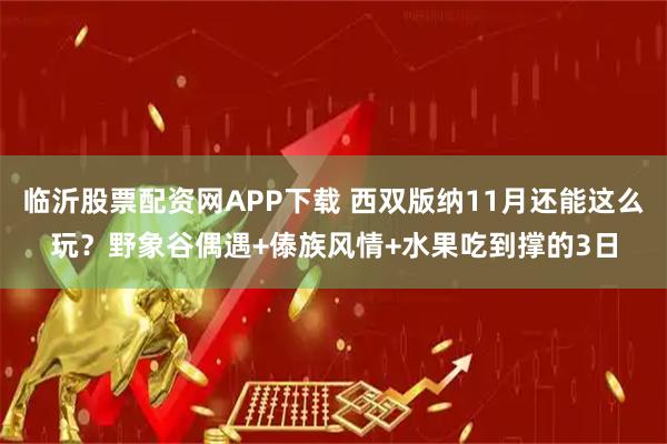临沂股票配资网APP下载 西双版纳11月还能这么玩？野象谷偶遇+傣族风情+水果吃到撑的3日